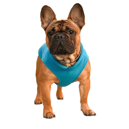 Fleece Vest Jacket for Small Dogs & Cats | Warm Winter Coat for Chihuahuas & French Bulldogs