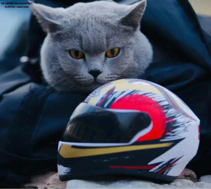 Pet Motorcycle Helmet for Cats & Small Dogs