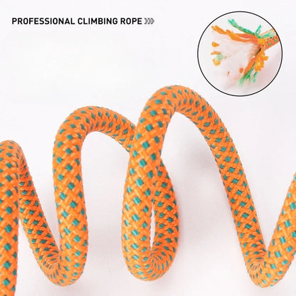 Anti-Tangle Adjustable P-Chain Slip Lead for Small Dogs