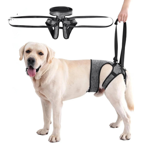 Hind Leg Support Dog Sling for Large & Senior Dogs | Adjustable Mobility Aid
