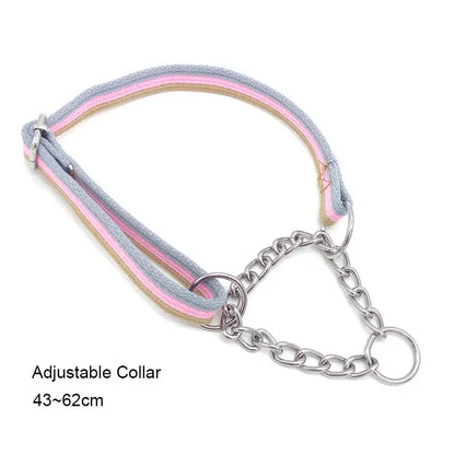 Durable Nylon Dog Collar for Medium to Large Dogs