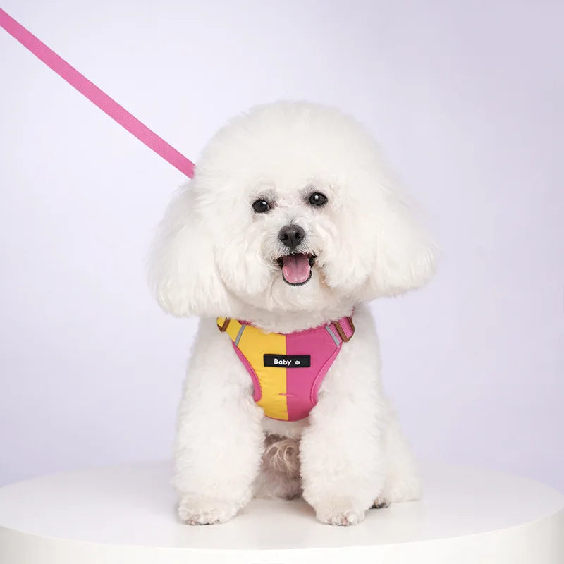 Reflective Adjustable Harness & Leash Set for Small & Medium Dogs & Cats
