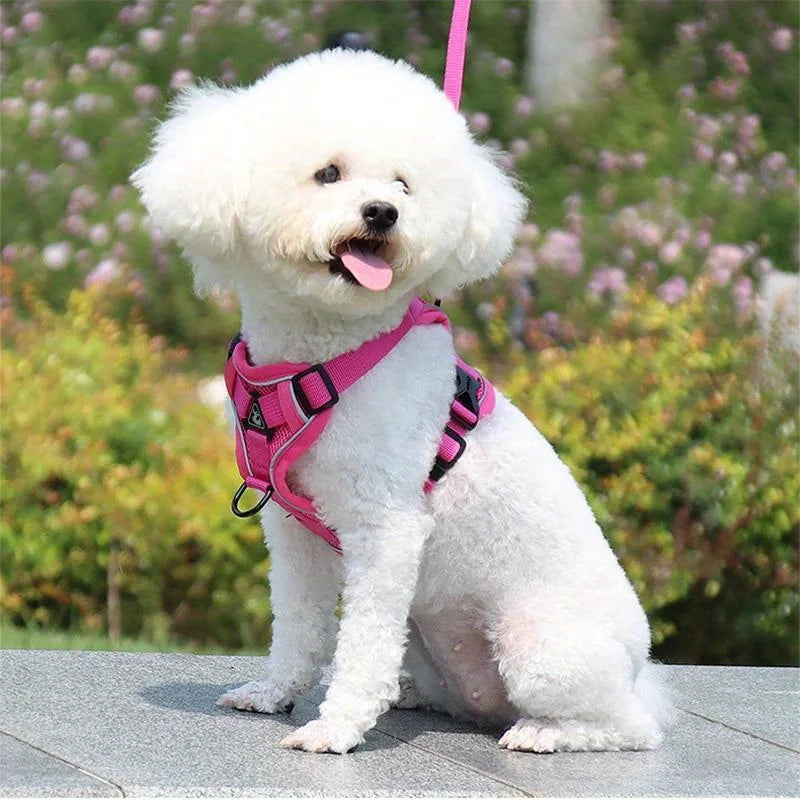 No-Pull Reflective Pet Harness and Leash Set