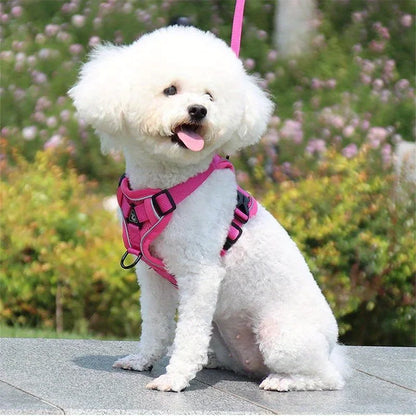 No-Pull Reflective Pet Harness and Leash Set