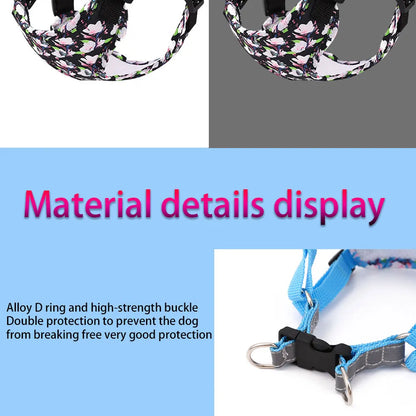 Adjustable Dog Harness & Leash Set with Reflective Strips