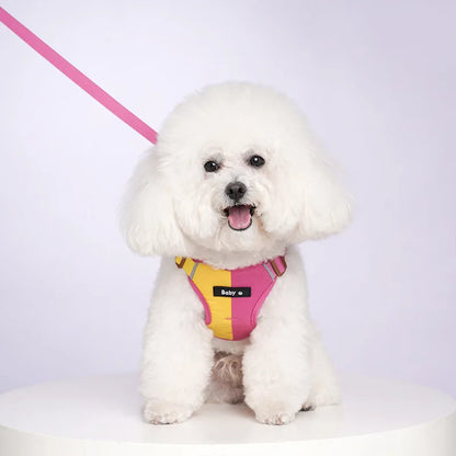 Reflective Adjustable Harness & Leash Set for Small & Medium Dogs & Cats