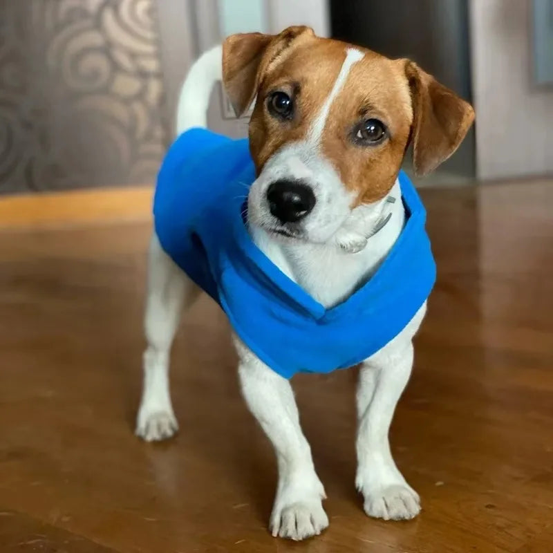 Fleece Vest Jacket for Small Dogs & Cats | Warm Winter Coat for Chihuahuas & French Bulldogs