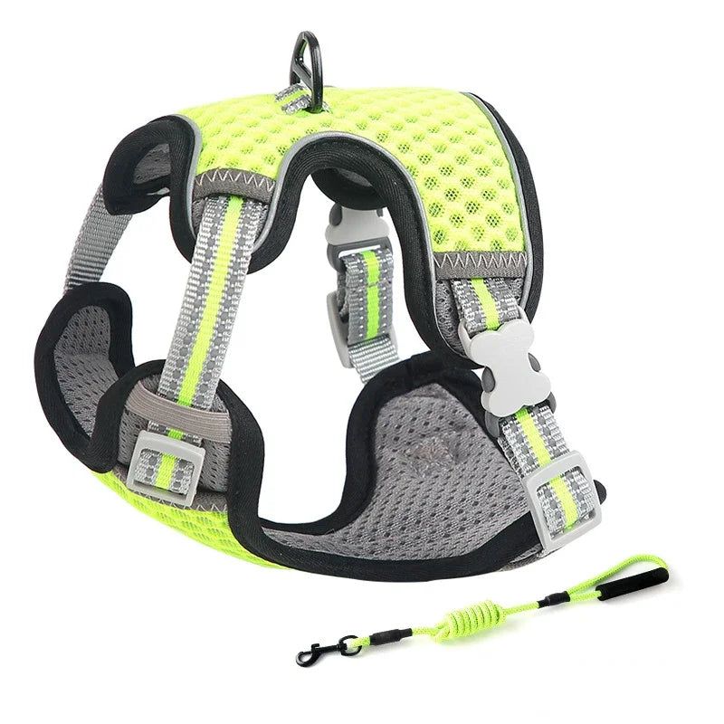 Reflective Cat Harness and Leash Set - Escape Proof, Adjustable Walking Harness