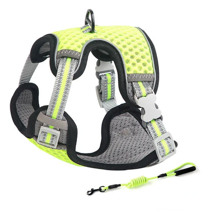 Reflective Cat Harness and Leash Set - Escape Proof, Adjustable Walking Harness