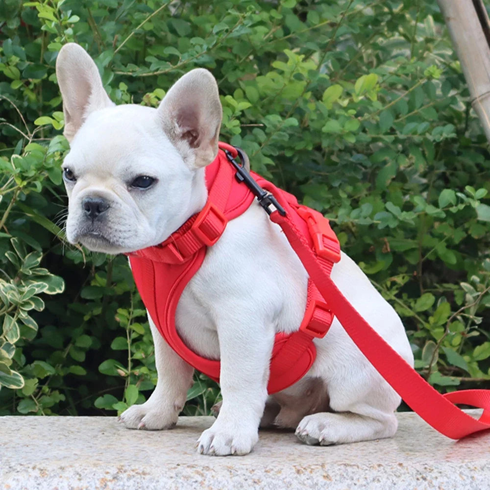 Breathable Adjustable Dog Harness Vest