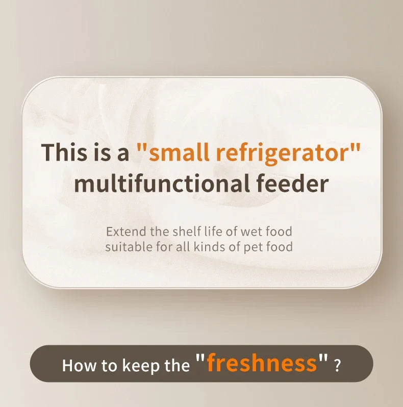 6-Meal Automatic Pet Feeder - Smart Food Dispenser for Wet & Dry Food