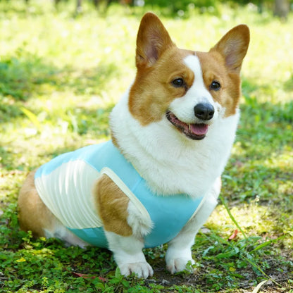 Ice Silk Cooling Vest with Sun Protection for Dogs & Cats
