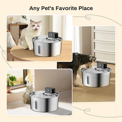 Smart Wireless Charging Pet Water Fountain with Sensor - 3.2L Stainless Steel