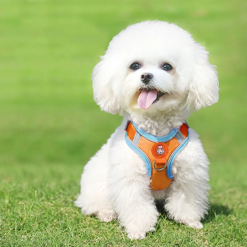 Breathable Reflective Dog Harness - Adjustable for Small Dogs & Puppies