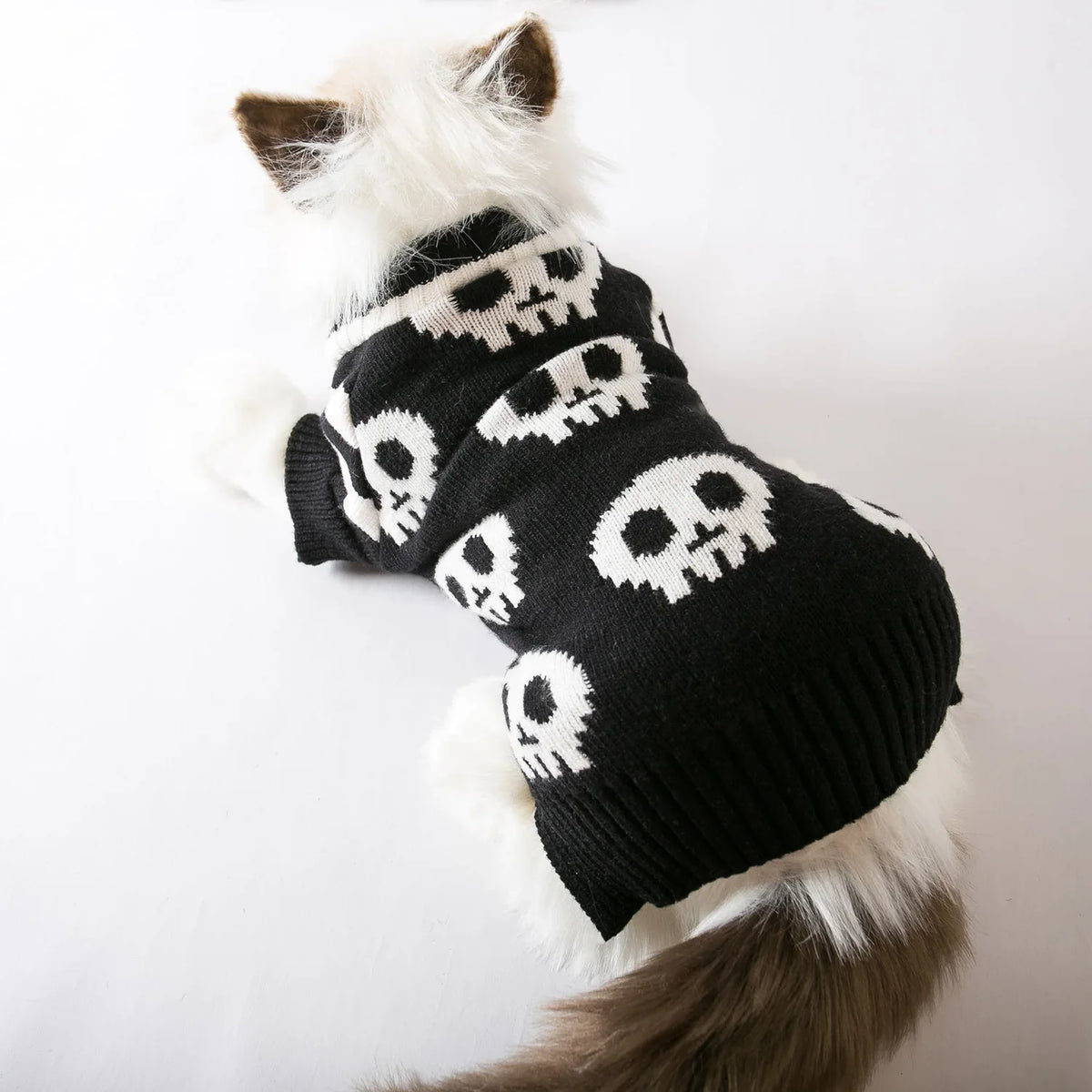 Halloween Skull Knitted Jumper for Cats & Dogs