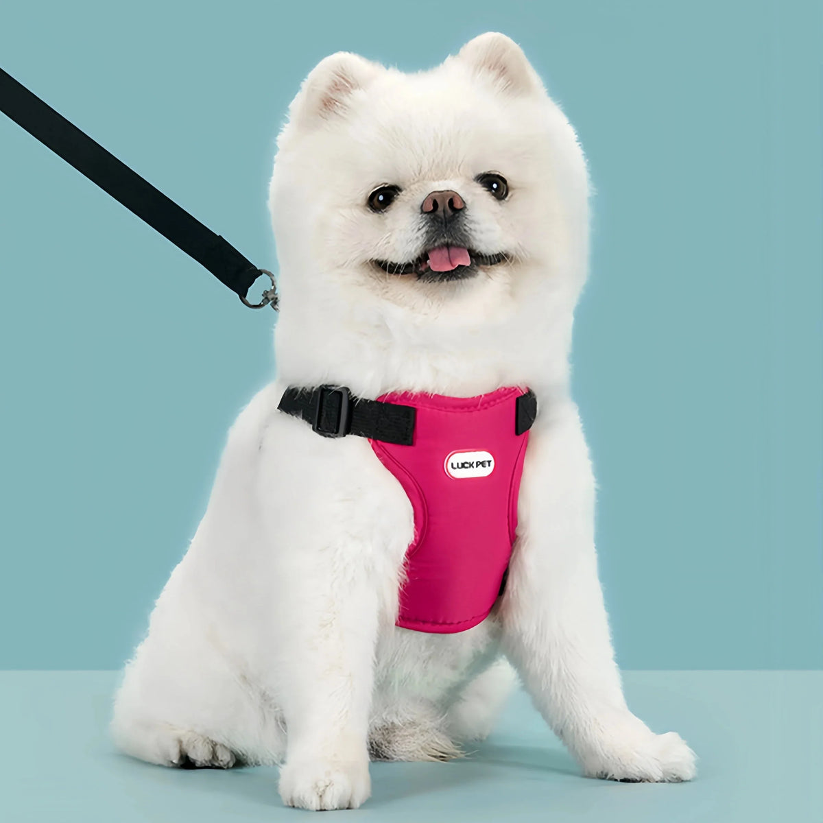 Breathable Vest Harness & Leash Set for Small Dogs