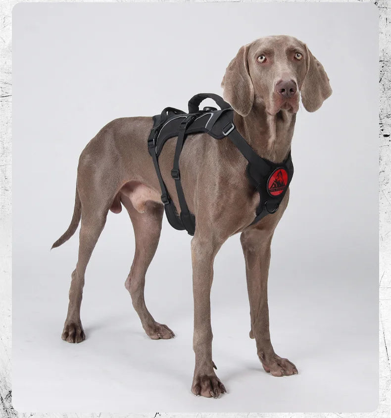 Tactical Military Vest Dog Harness for Large Dogs