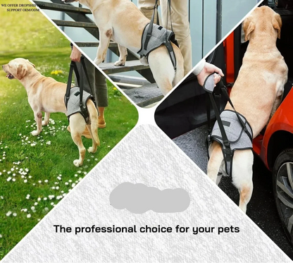 Rear Support Dog Lift Harness for Elderly, Injured & Arthritic Dogs