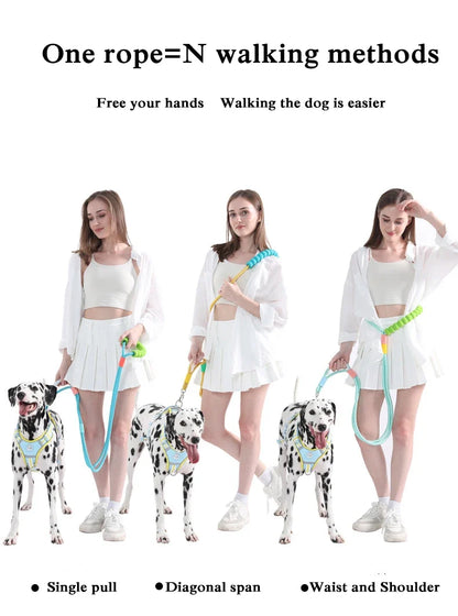 Anti-Slip Nylon Dog Lead — Lightweight & Wear-Resistant