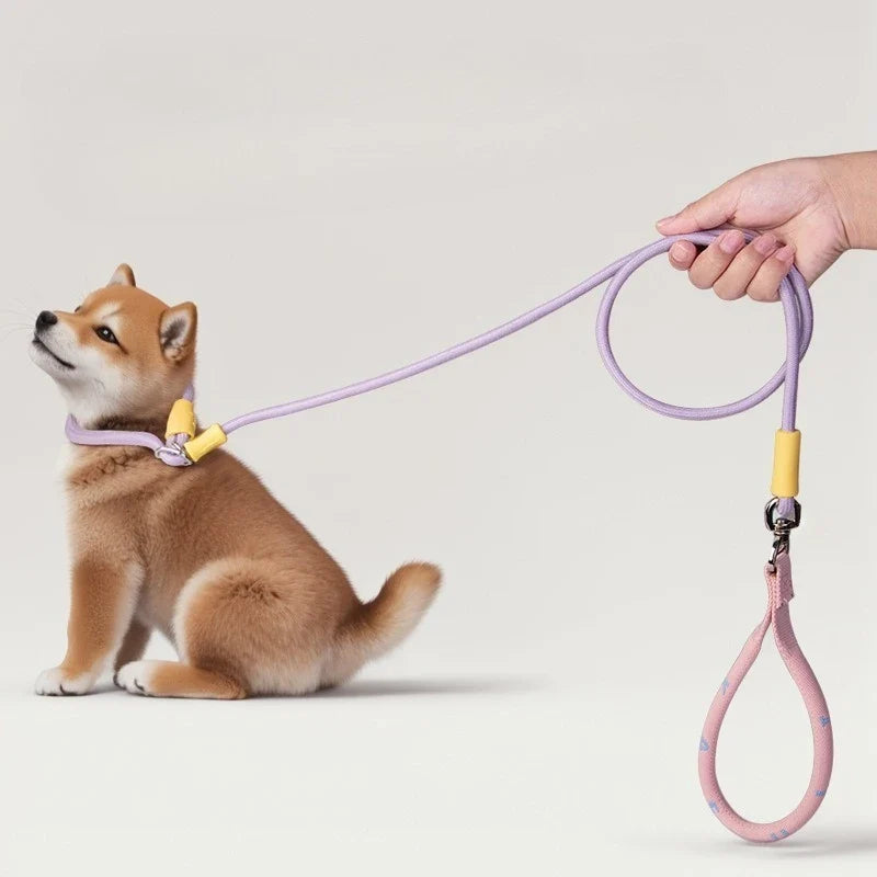 Nylon P-Chain Slip Lead & Collar for Small Dogs