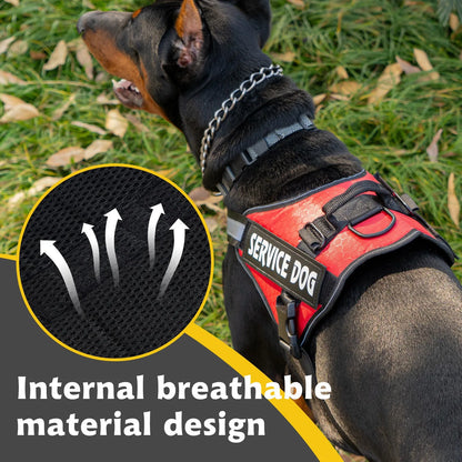 Reflective Adjustable Dog Chest Harness & Walking Lead for Large Dogs