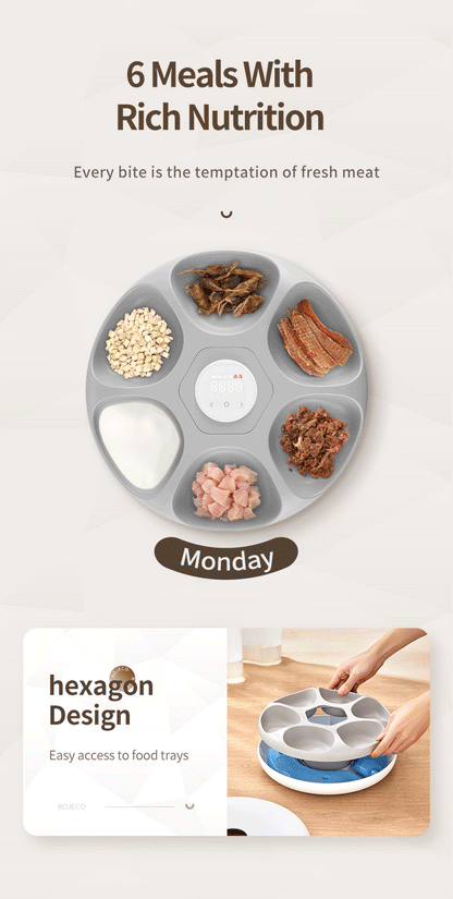 6-Meal Automatic Pet Feeder - Smart Food Dispenser for Wet & Dry Food