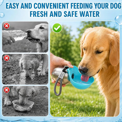 2-in-1 Stainless Steel Dog Water Bottle with Foldable Bowl