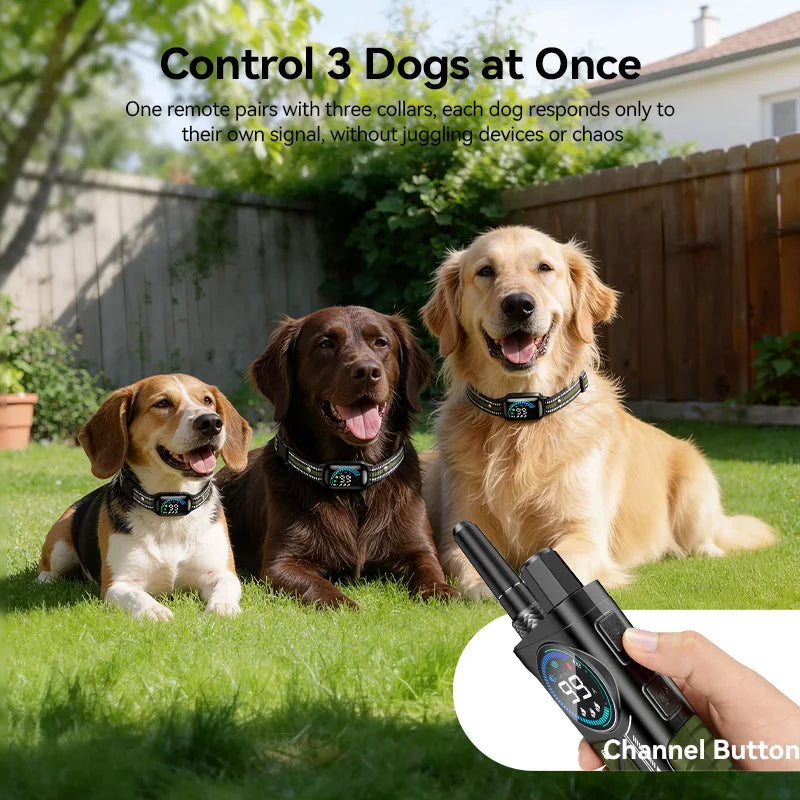 1000m Remote Dog Training Collar with Vibration & Bark Control