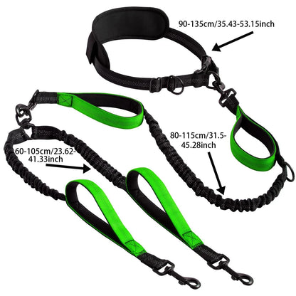 Double Dog Leash with Elastic Shock Absorber