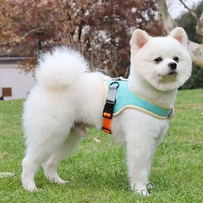 Reflective Dog Harness & Leash Set - Nylon Vest Harness for All Sizes