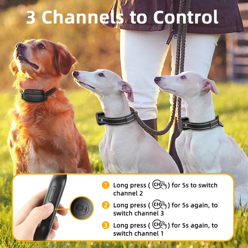 Professional Dog Training Collar 3300ft Range - Waterproof Remote Control System