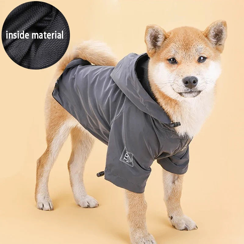 Waterproof Reflective Dog Jacket – Colourful Fashion Coat for All Sizes