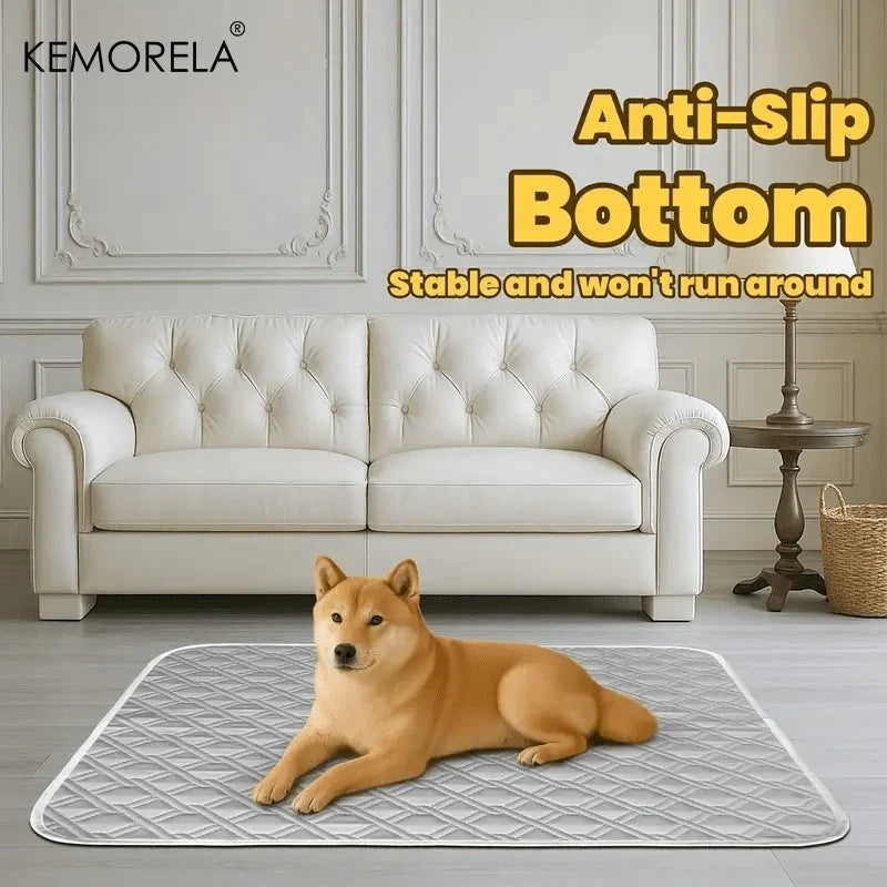 Washable Puppy Training Pads — Pack of 2