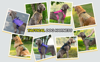 Tactical Chest Strap Dog Harness with Reinforcement Loop