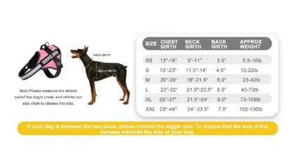 Reflective Adjustable Dog Chest Harness & Walking Lead for Large Dogs