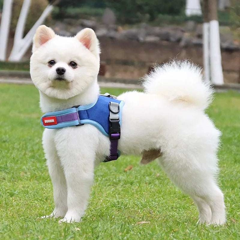 Reflective Dog Harness & Leash Set - Nylon Vest Harness for All Sizes
