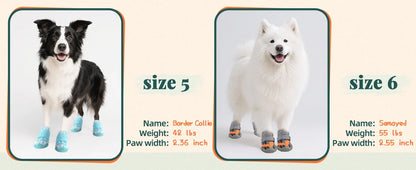 Summer Dog Boots for Hot Pavement Protection