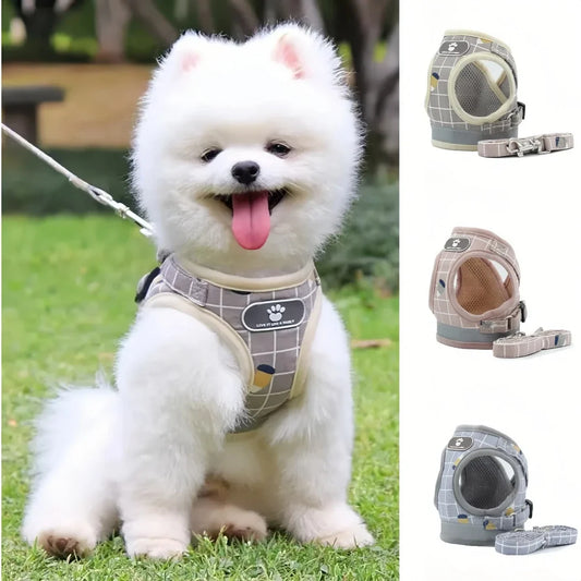Adjustable Reflective Vest Harness & Leash Set for Small Dogs & Cats