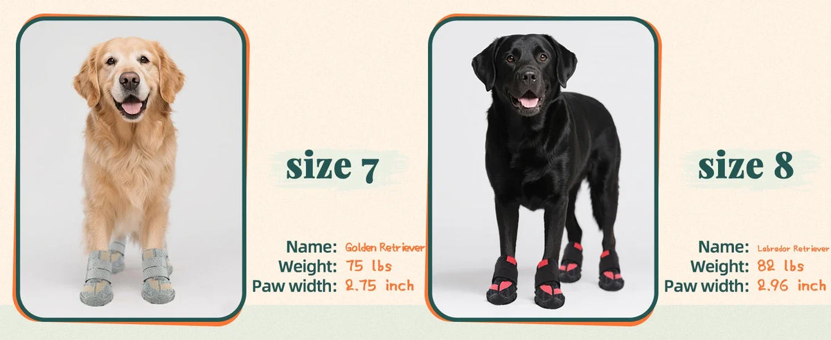 Summer Dog Boots for Hot Pavement Protection