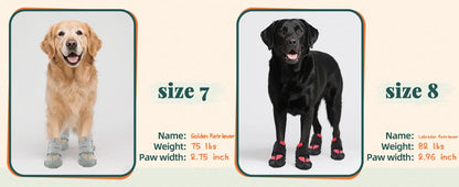 Summer Dog Boots for Hot Pavement Protection