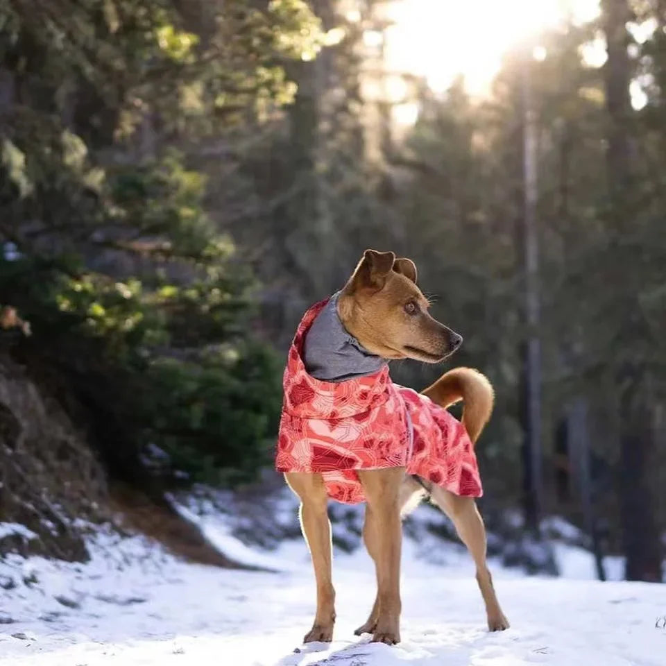 Waterproof Winter Dog Jacket – Warm Outfit for Small, Medium & Large Dogs