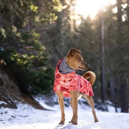 Waterproof Winter Dog Jacket – Warm Outfit for Small, Medium & Large Dogs