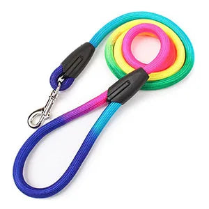 Portable Pet Water Bottle with Bowl
