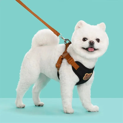 Breathable Vest Harness & Lead Set for Small Dogs & Cats